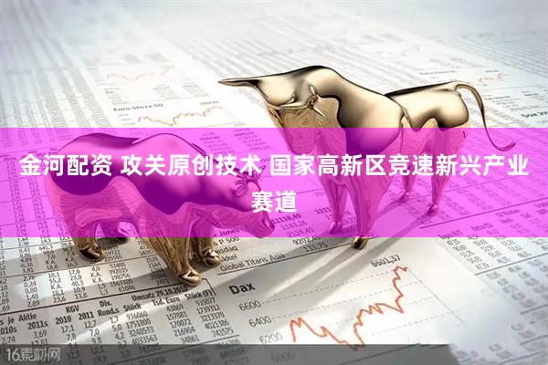 金河配资 攻关原创技术 国家高新区竞速新兴产业赛道