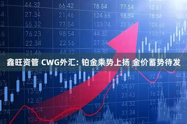 鑫旺资管 CWG外汇: 铂金乘势上扬 金价蓄势待发