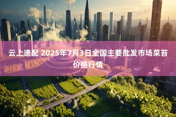 云上速配 2025年7月3日全国主要批发市场菜苔价格行情