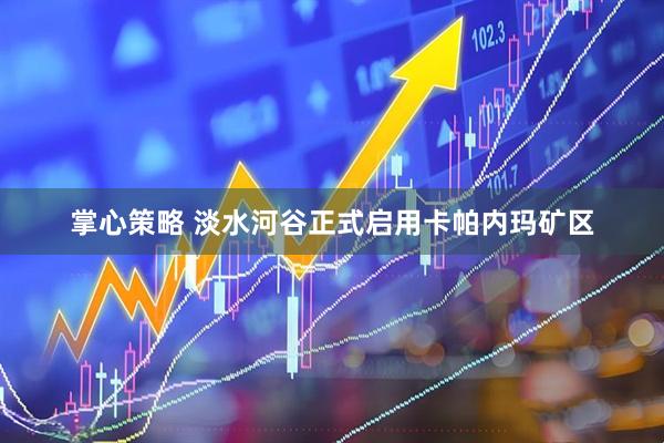掌心策略 淡水河谷正式启用卡帕内玛矿区